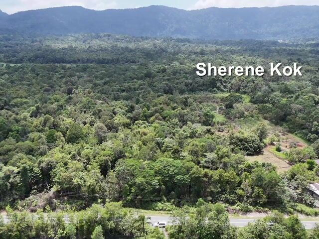 Video Image 1