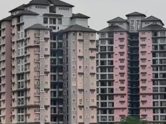 Video Image 1