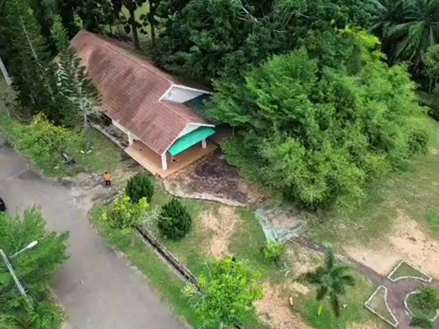 Video Image 1