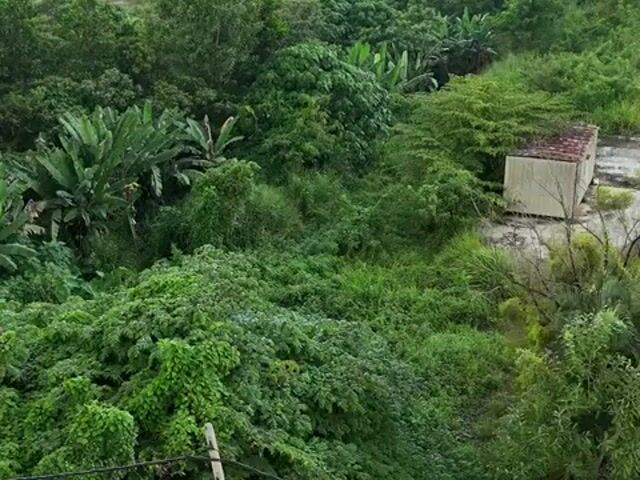 Video Image 1