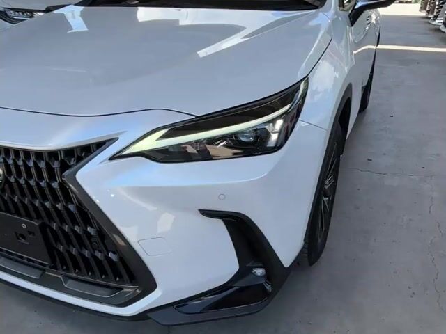 2023 Lexus NX 250 2.5 LUXURY (A) - 1