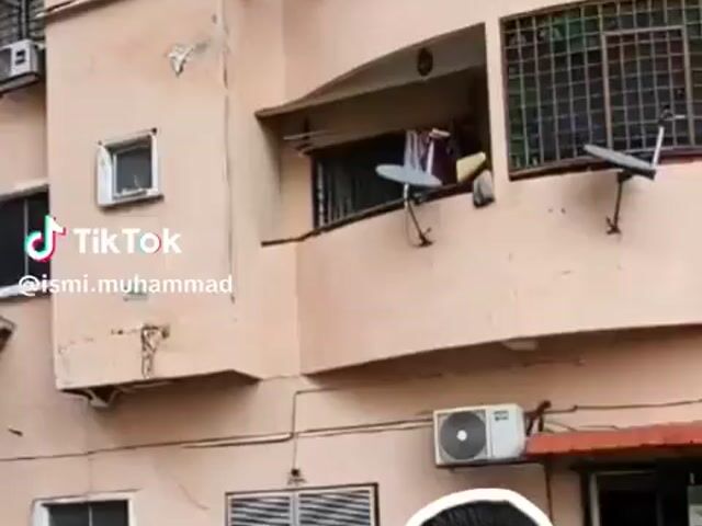 Video Image 1
