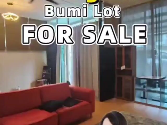 Video Image 1