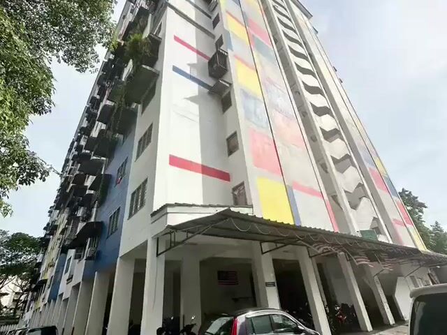 Video Image 1