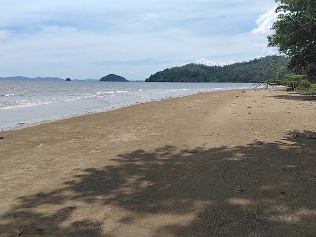 Video Image 1