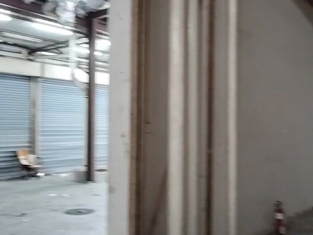 Video Image 1