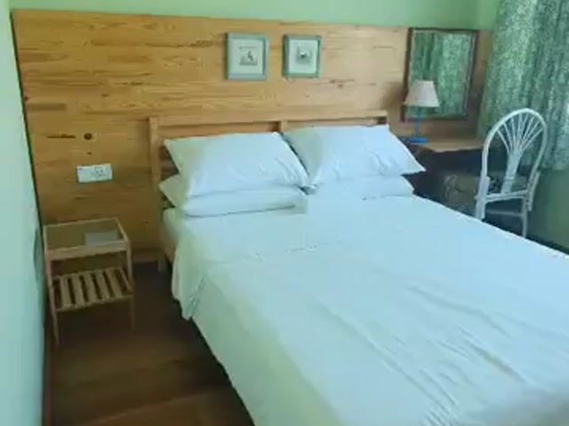 Video Image 1