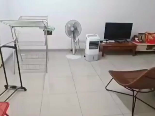 Video Image 1