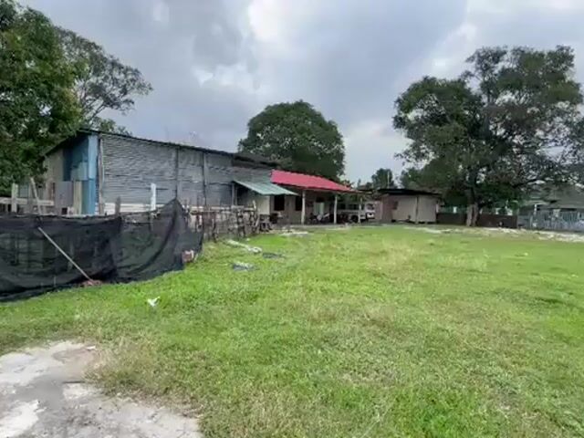 Video Image 1