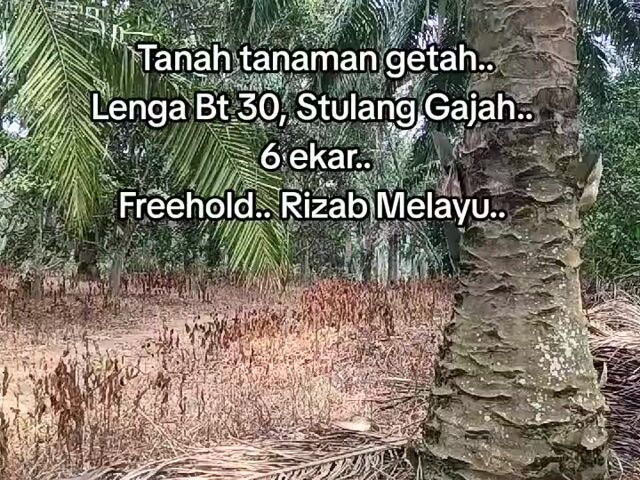 Video Image 1