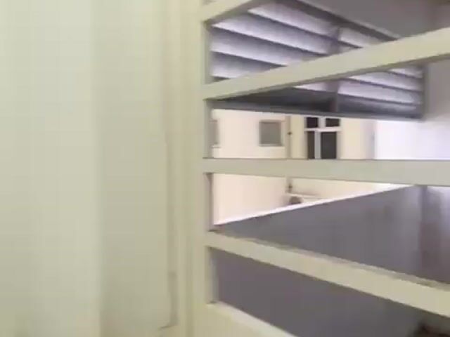 Video Image 1