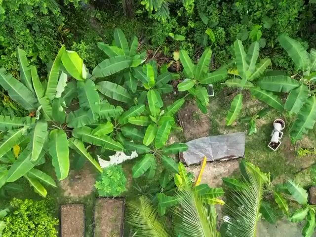 Video Image 1