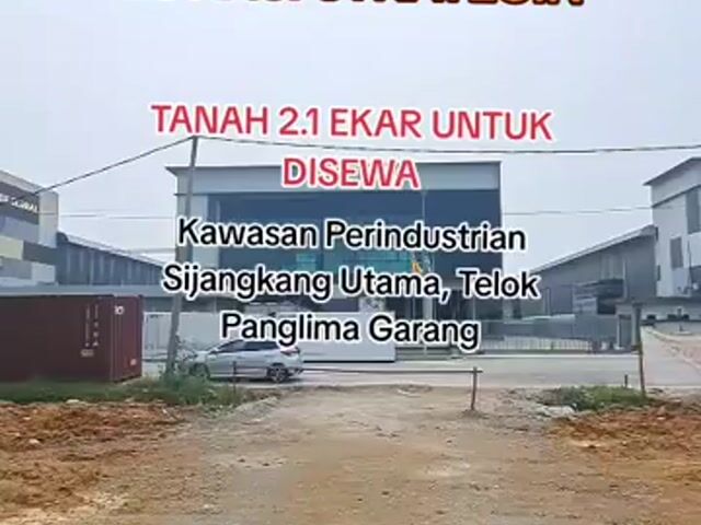 Video Image 1