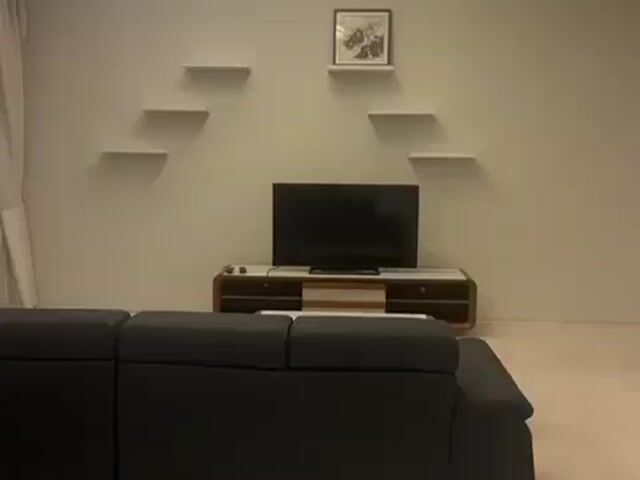 Video Image 1