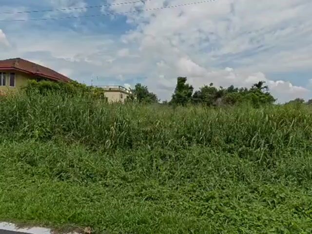 Video Image 1