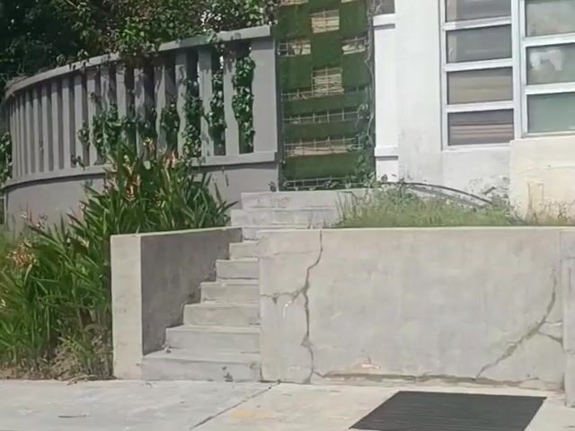 Video Image 1