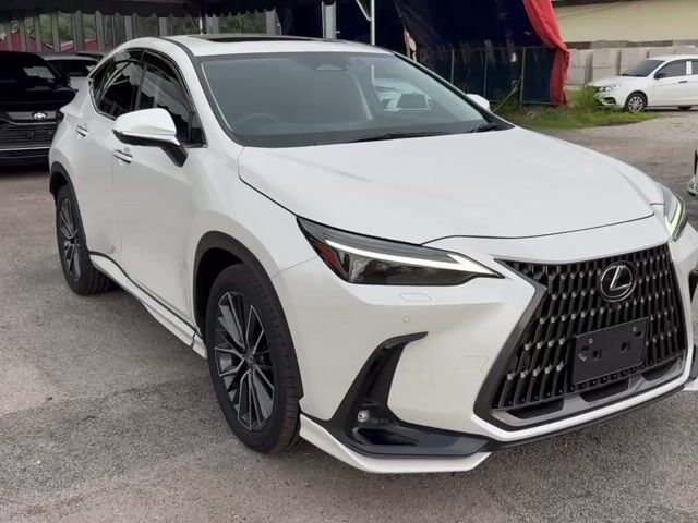 2023 Lexus NX 250 2.5 VERSION L(A)BlackSeatSunroof - 1