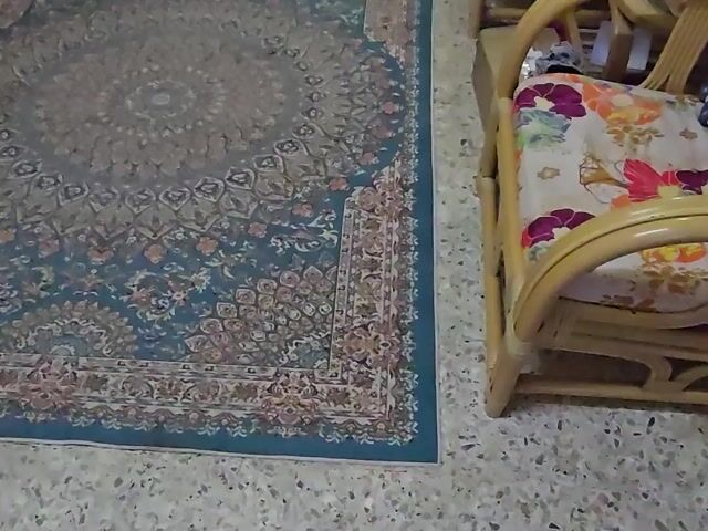 Video Image 1