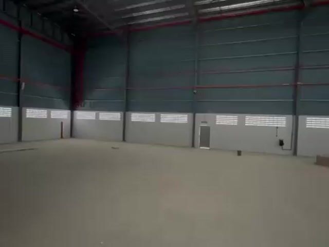 Video Image 1