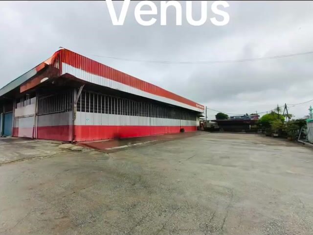 Video Image 1
