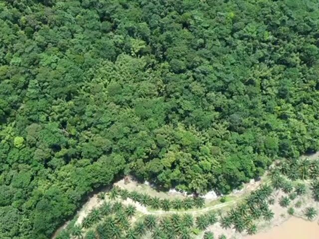 Video Image 1