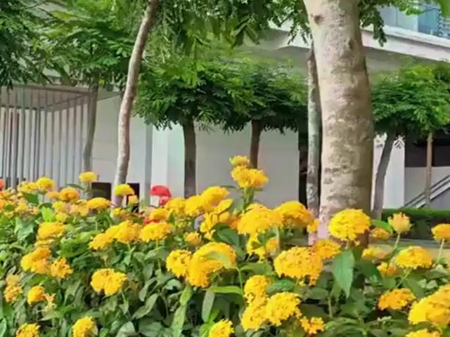 Video Image 1