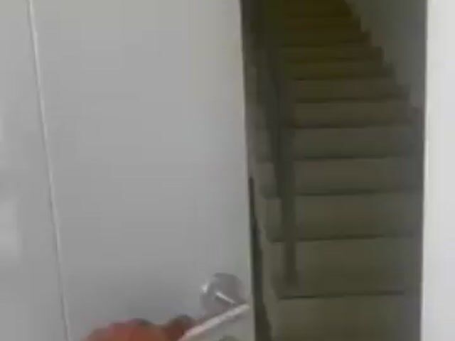 Video Image 1