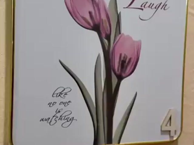 Video Image 1