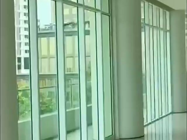 Video Image 1