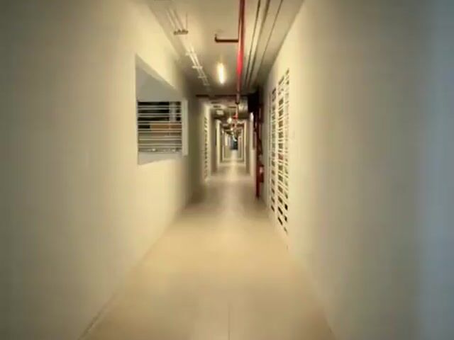 Video Image 1