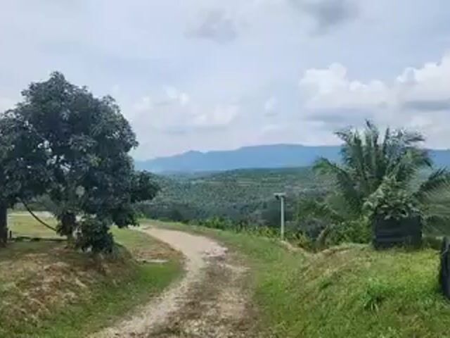 Video Image 1