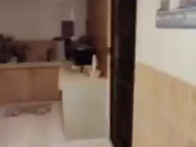 Video Image 1