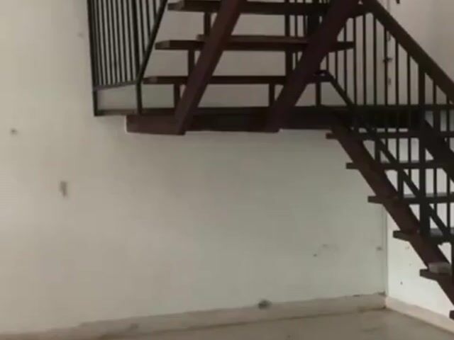 Video Image 1