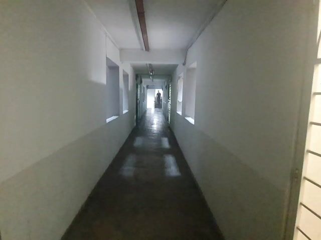 Video Image 1