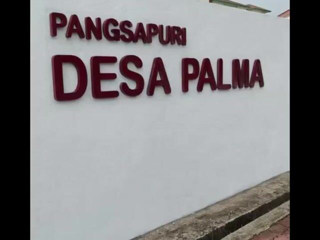 Video Image 1