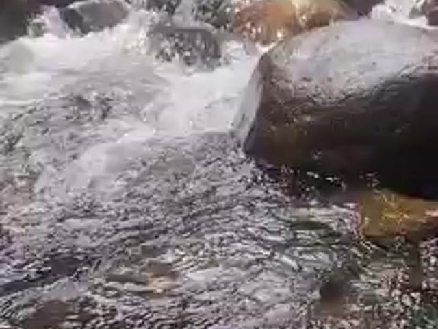 Video Image 1