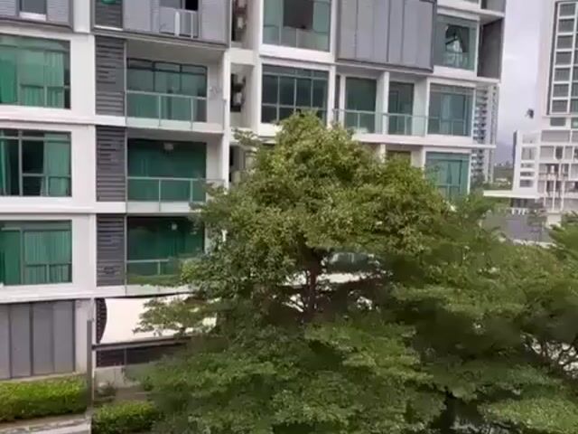 Video Image 1
