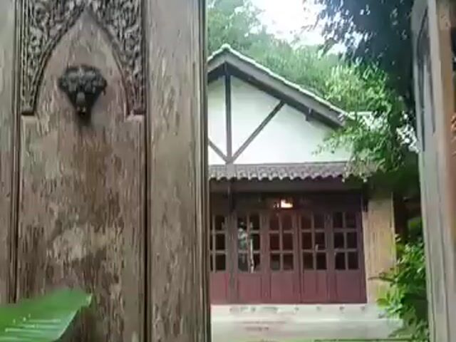 Video Image 1