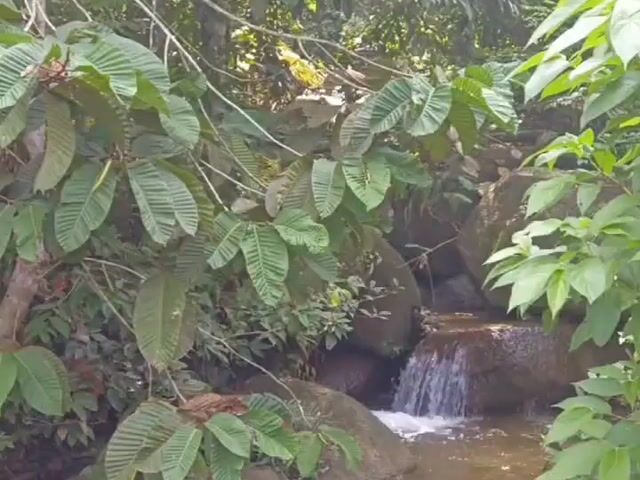 Video Image 1