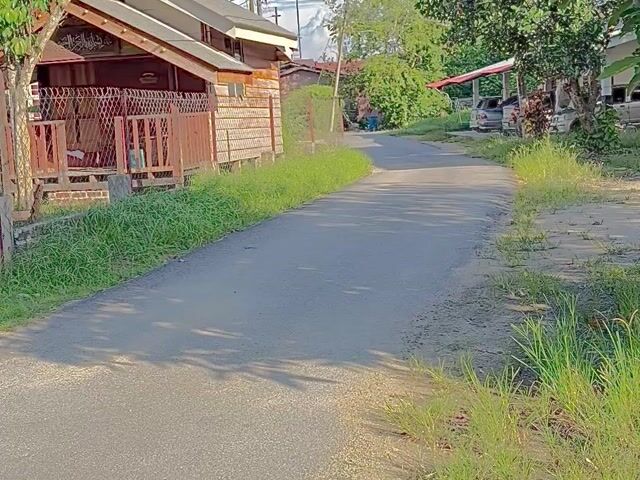 Video Image 1