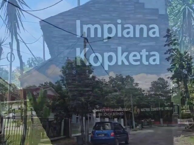 Video Image 1