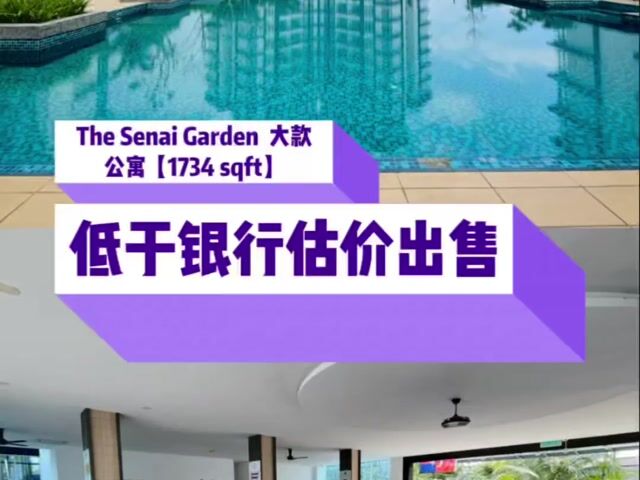 Video Image 1
