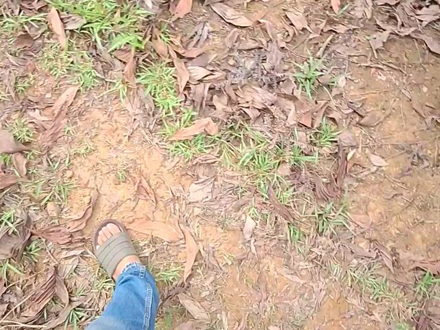 Video Image 1