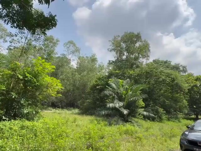 Video Image 1