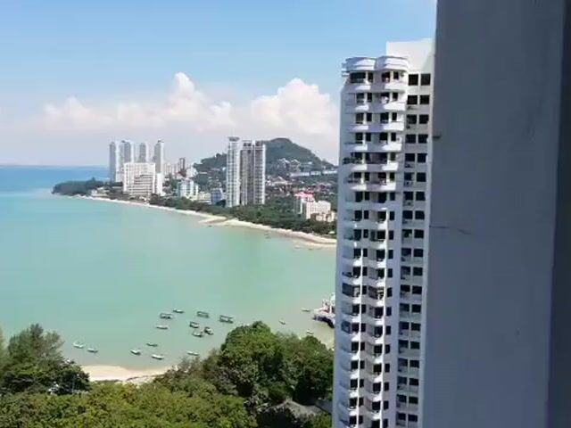 Video Image 1
