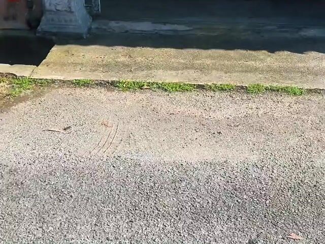 Video Image 1