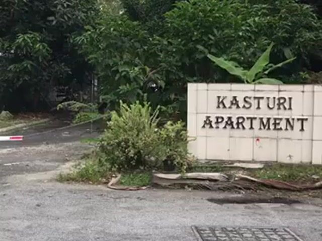 Video Image 1