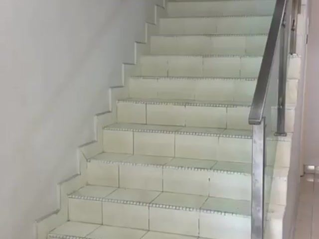 Video Image 1