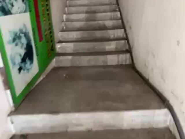 Video Image 1