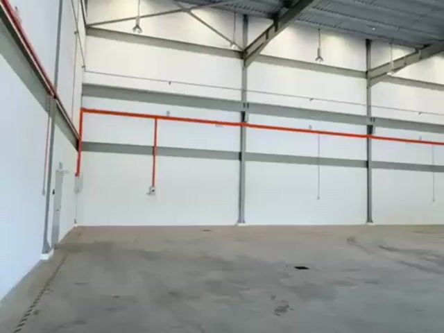 Video Image 1